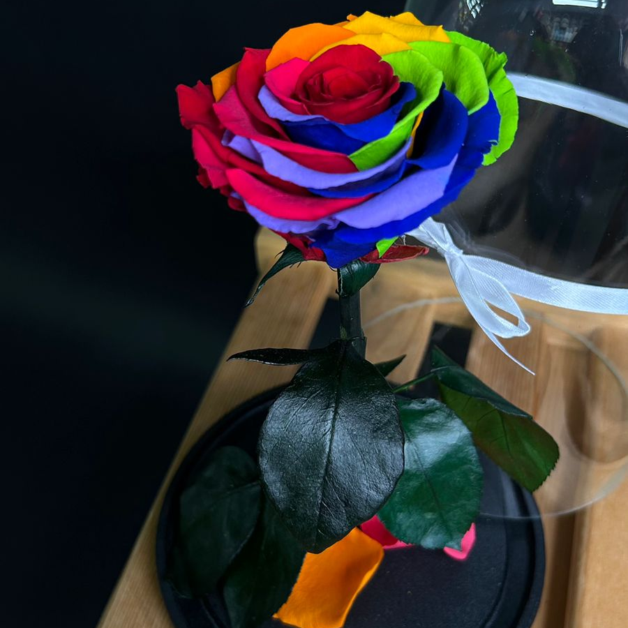 Роза в колбе 