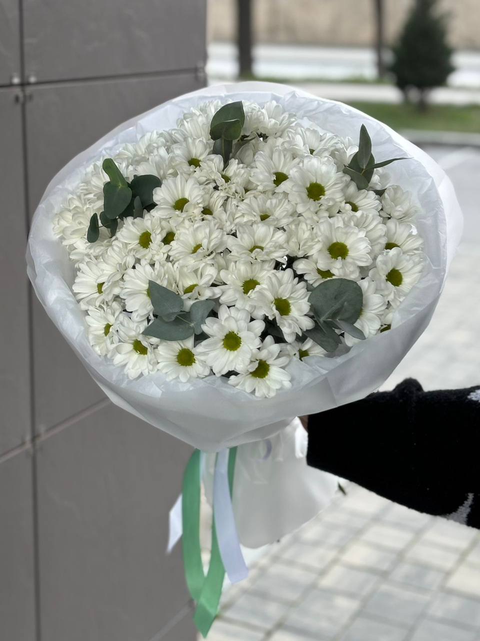 11 хризантем с эвкалиптом в оформление