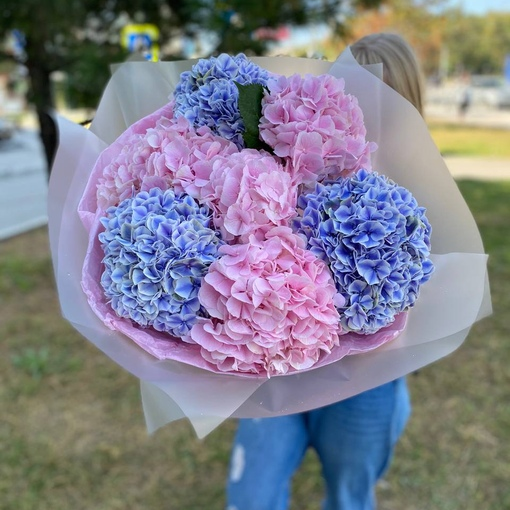 7 гортензий в оформлении