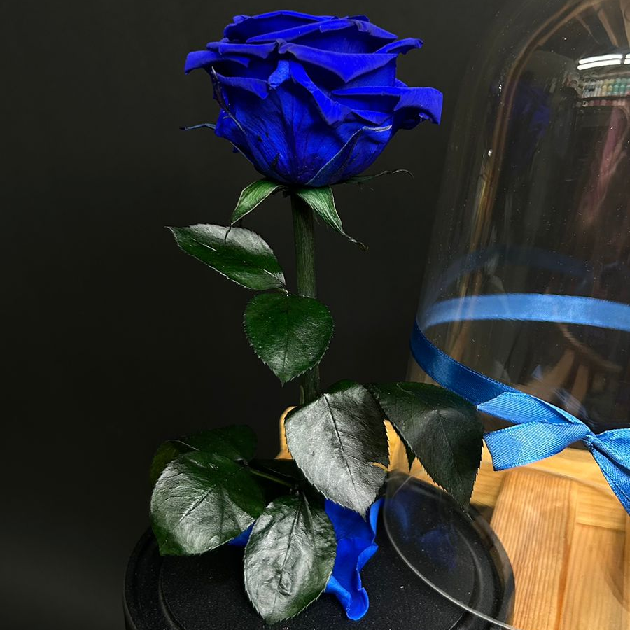 Роза в колбе 