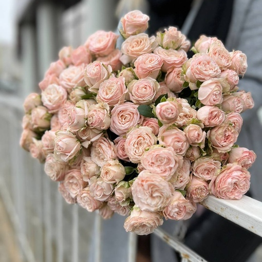 21 кустовая роза под ленту