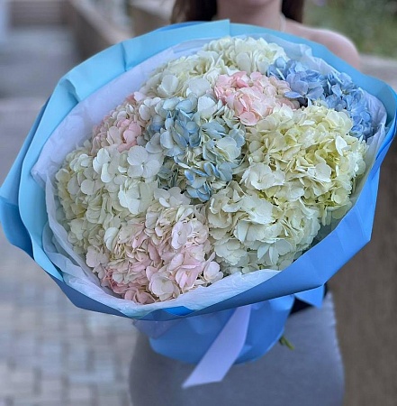 Букет из 11 гортензий