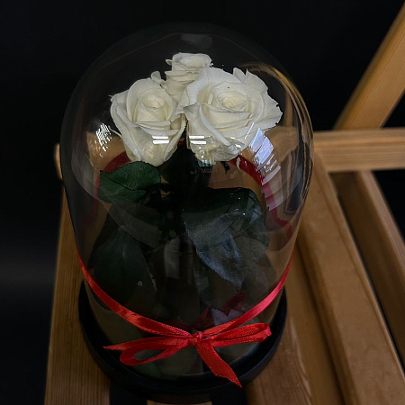Роза в колбе 