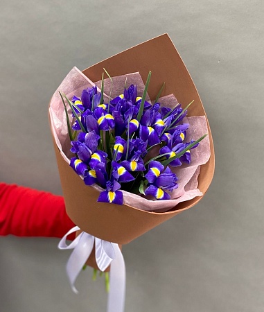 13 ирисов в оформление
