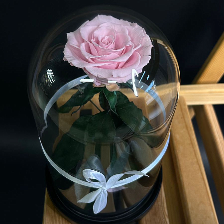 Роза в колбе 