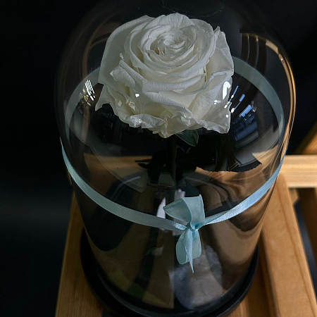Роза в колбе 