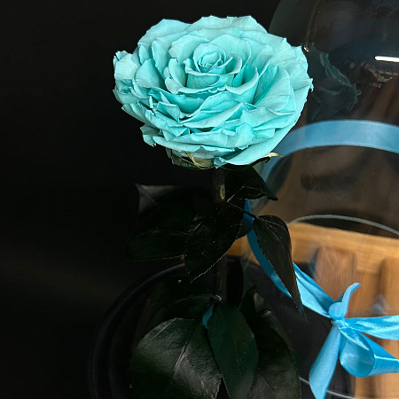 Роза в колбе 