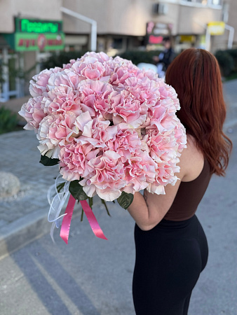 Пышный букет из 25 французских роз под ленту