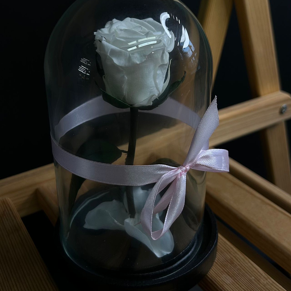 Роза в колбе 