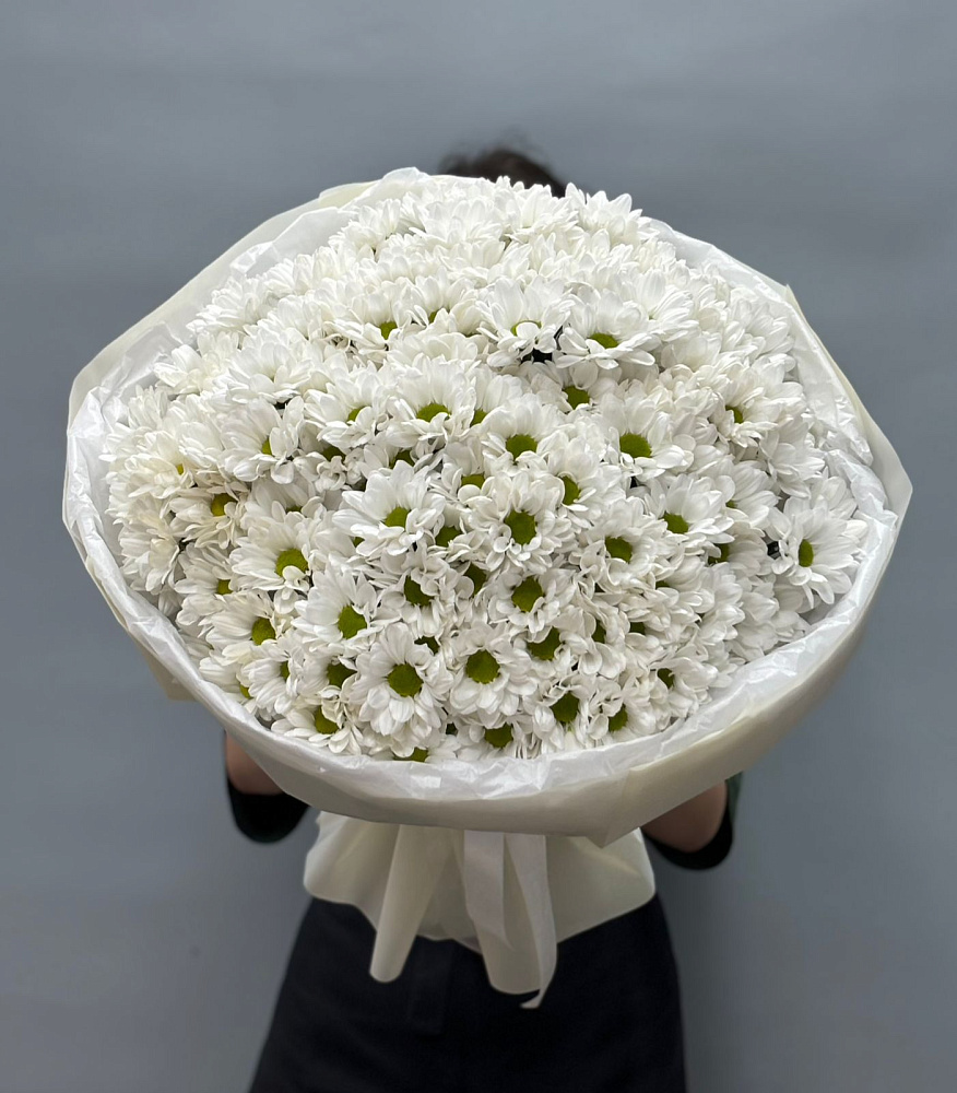 15 хризантем сорта ромашка в офрмление