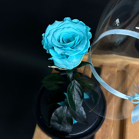 Роза в колбе 