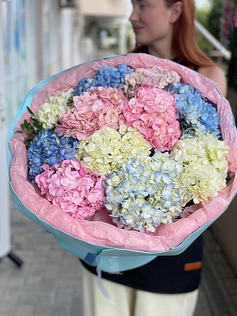 11 гортензий микс