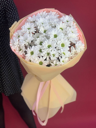 7 хризантем в оформление