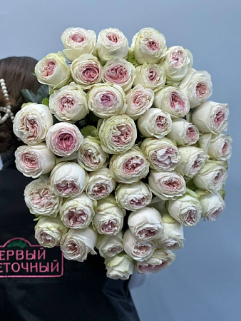 Премиальная пионовидная роза Лорена