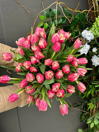 51 пионовидный тюльпан под ленту