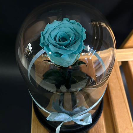 Роза в колбе 