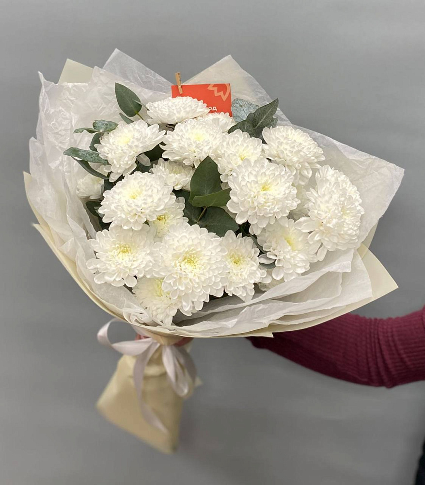 5 хризантем сорта балтика в оформление