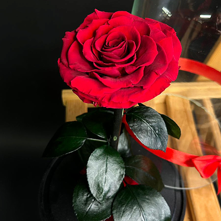 Роза в колбе 