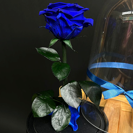 Роза в колбе 