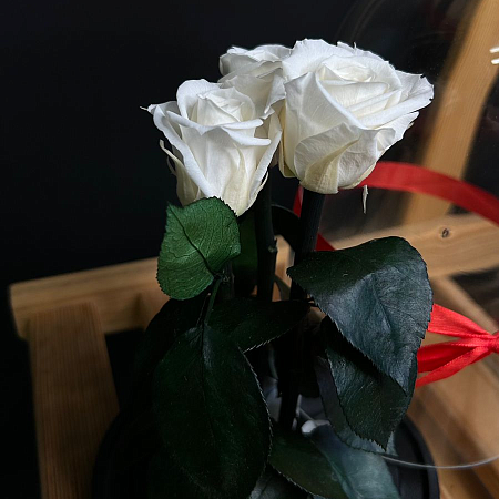 Роза в колбе 