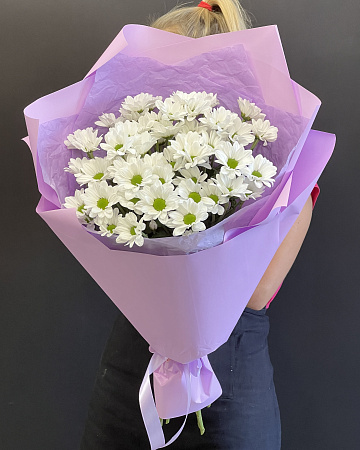 5 хризантем сорт а ромашка в оформление