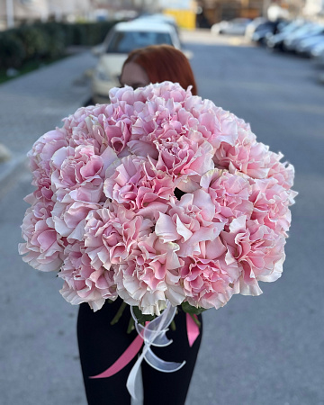 Пышный букет из 25 французских роз под ленту