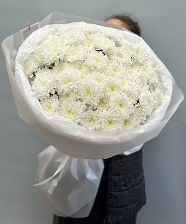 9 хризантем сорта балтика в оформление