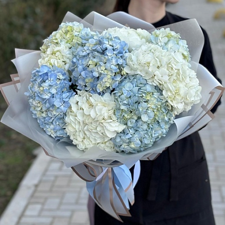 9 гортензий в оформлении