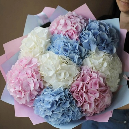 9 гортензий в оформлении